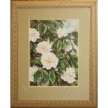 DARRYL TROTT, LIMITED EDITION PRINT, 1981,  'WHITE CAMELLIA' 26" X 19": Under glass and  matted,