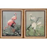 ROGER TORY PETERSON PRINTS ON PAPER, TWO, H 25" W 19": Including one depicting two Flamingos in