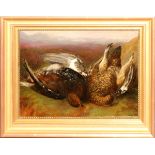 VICTORIAN OIL ON BOARD, 19TH C., 11" X 15", GAME BIRDS: Depicting two dead game birds. Identified as