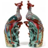 CHINESE PORCELAIN PHOENIX BIRDS, PAIR, H 14" W 6": A pair of perched Phoenix birds, raised on