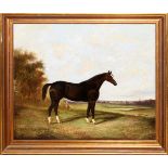 JAMES CLARK [1858-1943], OIL ON CANVAS, 20" X 24", 'NETTLE': Depicting a dark brown horse standing