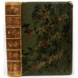 WILLIAM ANDERSON, HARD COVER VOLUME, 1886, H 16", W 13", "THE PICTORIAL ARTS OF JAPAN": "The