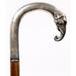GERMAN STERLING & WOOD CANE, L 34 1/4":  A  sterling elephant figure topping a wooden cane.   Having