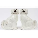 STAFFORDSHIRE KING CHARLES SPANIEL DOGS, 1850  PAIR 14":  Staffordshire pottery with glass  eyes.