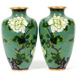 CHINESE CLOISONNE VASES, PAIR, H 11":  Green  ground with large chrysanthemums. From a  pominent