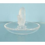 Lalique squirrel glass dish, 9.5cm diameter : For Condition Reports please visit www.