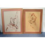 Shirley Toms - Pair of nude pictures, both mounted and framed, the larger 64cm x 84cm excluding