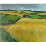 Robert Taverner - Oil onto board countryside scene, 30cm x 26cm : For Condition Reports please visit