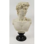 Large bust of David, 52cm high : For Condition Reports please visit www.eastbourneauction.com