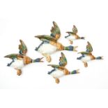 Set of five Beswick mallard duck plaques, each with impressed and/or printed factory mark to the