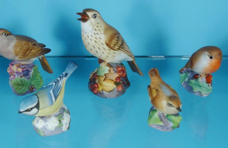 Seven Royal Worcester china birds, Beswick bird and a Royal Adderley bird, the largest 11cm high : - Image 3 of 4