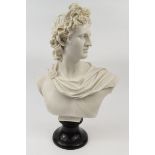 Large bust of Apollo, 55cm high : For Condition Reports please visit www.eastbourneauction.com