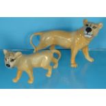 Two Beswick China lionesses, the larger 22cm long : For Condition Reports please visit www.