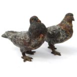 Two cold painted bronze doves, each 7cm long : For Condition reports please visit www.