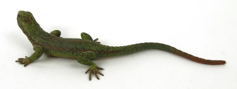 Cold painted bronze lizard, 13cm long : For Condition Reports please visit www.eastbourneauction. - Image 3 of 5