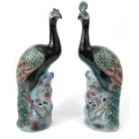 Pair of oriental Chinese stoneware peacocks, hand enamelled in bright colours, 34cm high : For
