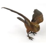 Austrian cold painted bronze model of a hawk, the wingspan 22cm wide : For Condition Reports