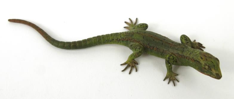 Cold painted bronze lizard, 13cm long : For Condition Reports please visit www.eastbourneauction. - Image 2 of 5