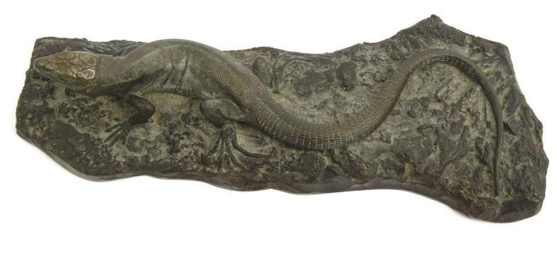 Bronze lizard on a rock paperweight, 21cm long : For Condition Reports please visit www. - Image 2 of 5