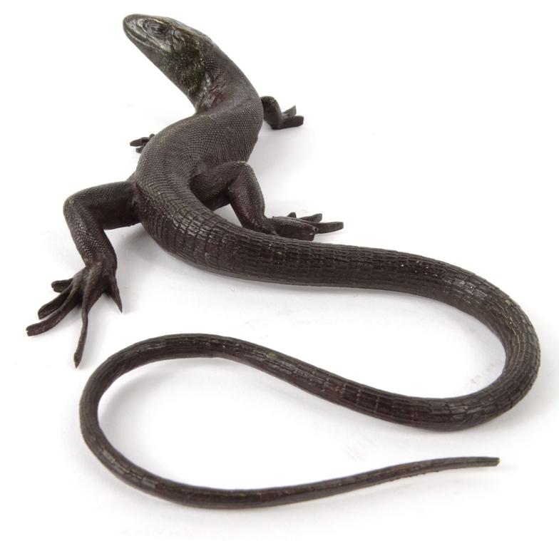 Bronze lizard paperweight, 16.5cm long : For Condition Reports please visit www.eastbourneauction. - Image 5 of 6