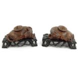 Pair of well detailed oriental Chinese wooden carvings of water buffaloes on stands, each buffalo