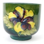 Moorcroft Hibiscus patterned pottery cache pot, impressed mark and paper label to base, 10cm