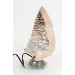 Carved conch shell table lamp with a view of Napoli, 26cm high : For Condition Reports Please