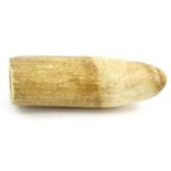 Sperm whale's ivory tooth, 18cm long : For Condition Reports Please visit www.eastbourneauction.com