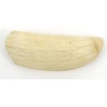 Sperm whale's ivory tooth, 15cm long : For Condition Reports Please visit www.eastbourneauction.com