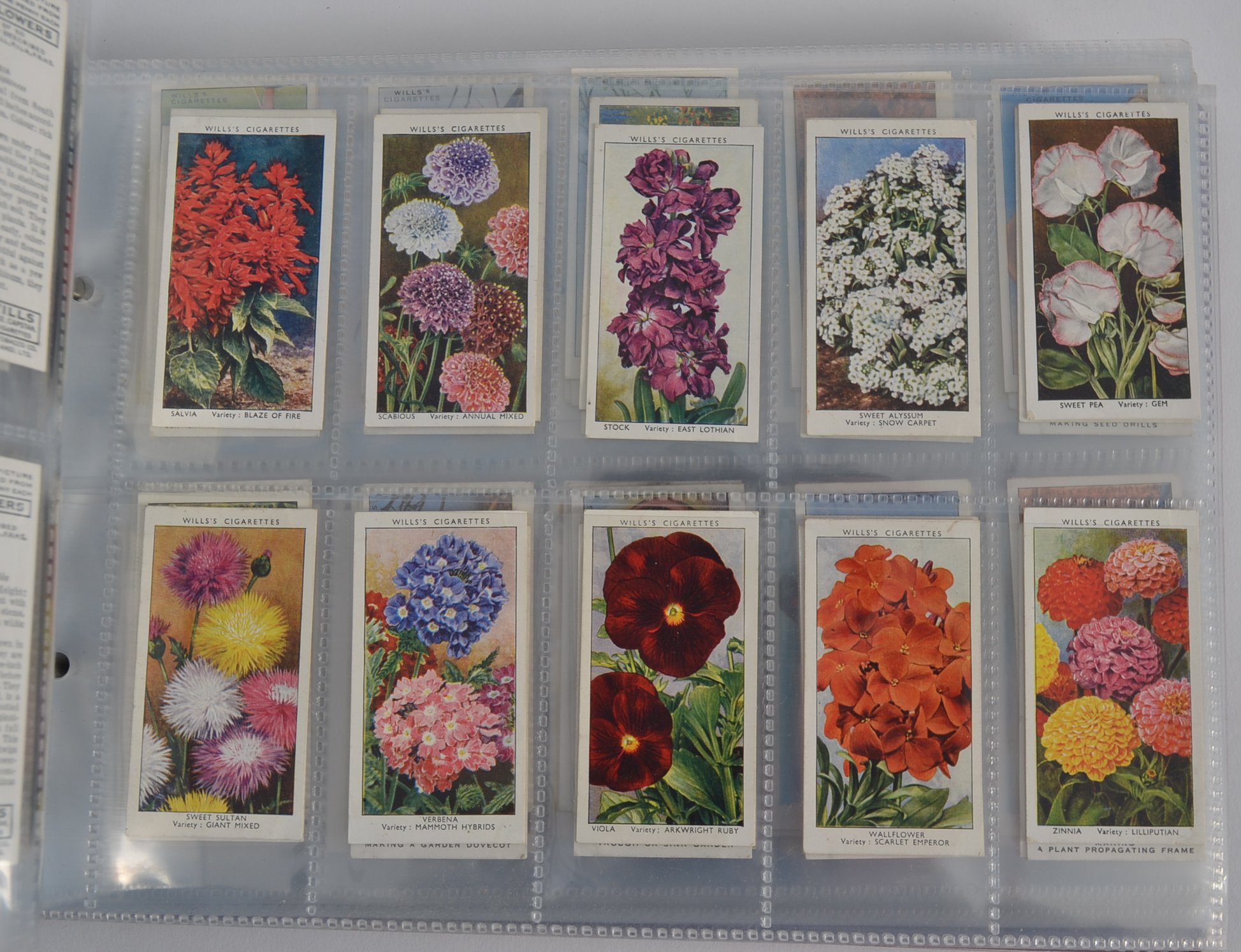 A collection of cigarette cards in album - Image 3 of 4
