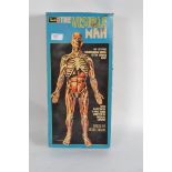 The Visible Man - Boxed Revell dimension