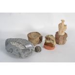 A collection of fossils and casts to inc