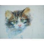 COOTE, MICHAEL; sketch of a kitten, colo