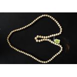 Early 20th century long graduated string of ivory beads
