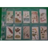 CIGARETTE CARDS; Player's Cigarettes: In