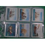 CIGARETTE CARDS; John Player & Sons: Inc