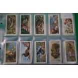 CIGARETTE CARDS; John Player & Sons: Inc