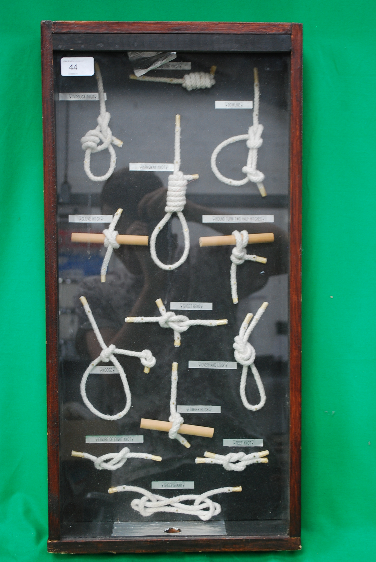 A framed display of many different knots