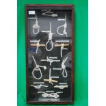 A framed display of many different knots