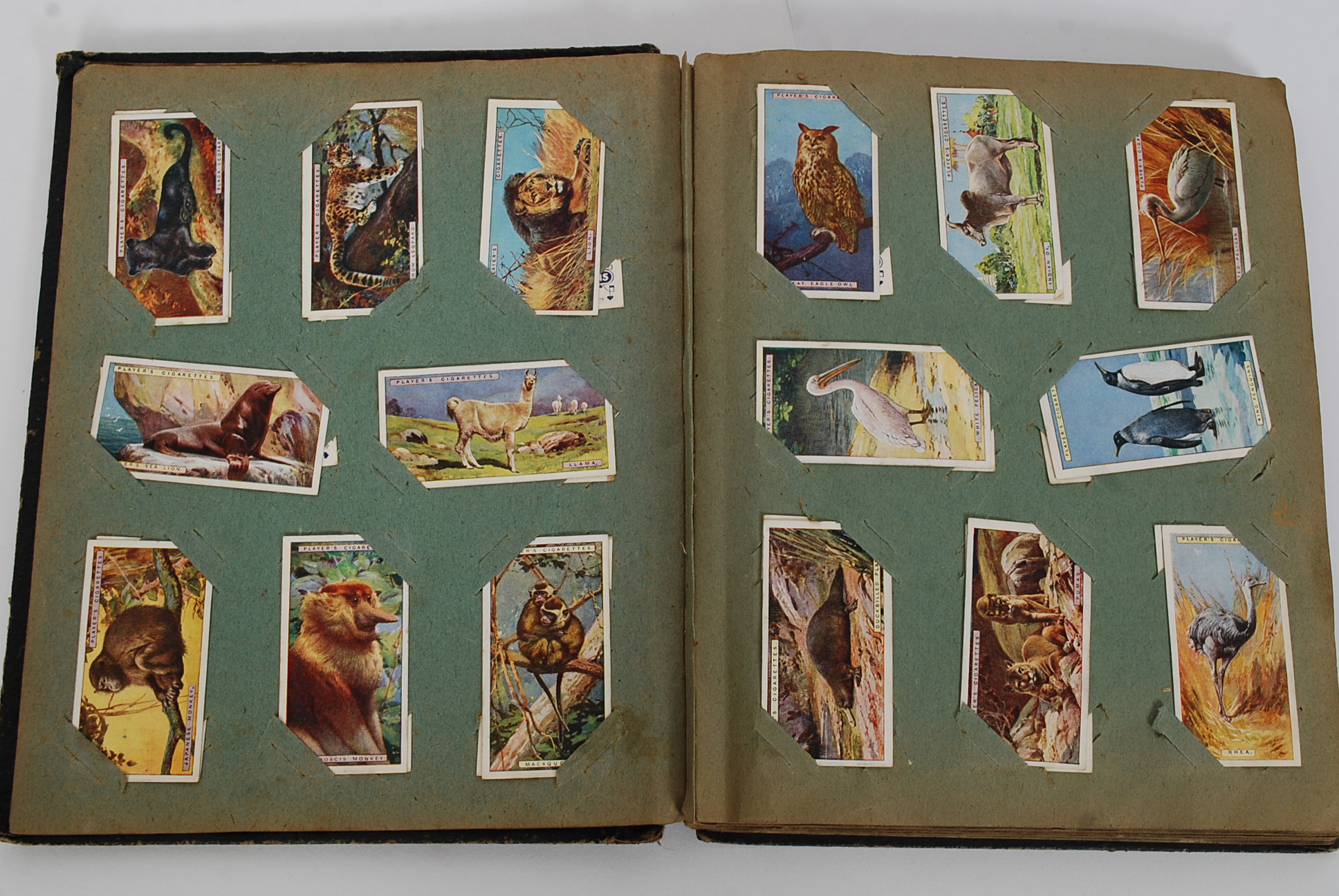 A good vintage cigarette card album consisting of Players Natural History, - Image 2 of 3