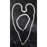 A good quality ladies 9ct gold clasp real pearl necklace.
