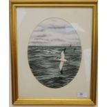 David M Teague, Manx Shearwater, Gouache