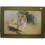 A Large contemporary framed print of a ' tiger emerging from the jungle ' by artist Leonard Peerman