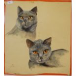 A water colour of ' two cats ' signed to