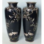 A pair of Japanese cloisonné baluster vases, each decorated with two standing cranes beneath a