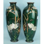 A pair of large Japanese cloisonné vases decorated with cranes in water reeds, on a green ground,