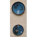 A cloisonné wall plaque decorated with birds, a butterfly and branch on blue ground, 30cm diameter