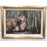 R. Weston, 'Bittern amongst reeds', a signed oil painting on board, 60 x 90cm.