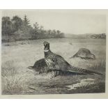 After Archibald Thorburn THE HOME COVERTS Photogravure, signed in pencil on mount and inscribed on