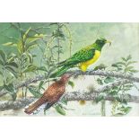 Ingrid Weiersbye AFRICAN EMERALD CUCKOO Signed and titled watercolour, 30 x 44cm.